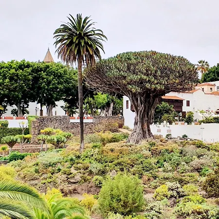 Casa Rural Piedra Redonda 伊科德·德·洛斯·维诺斯